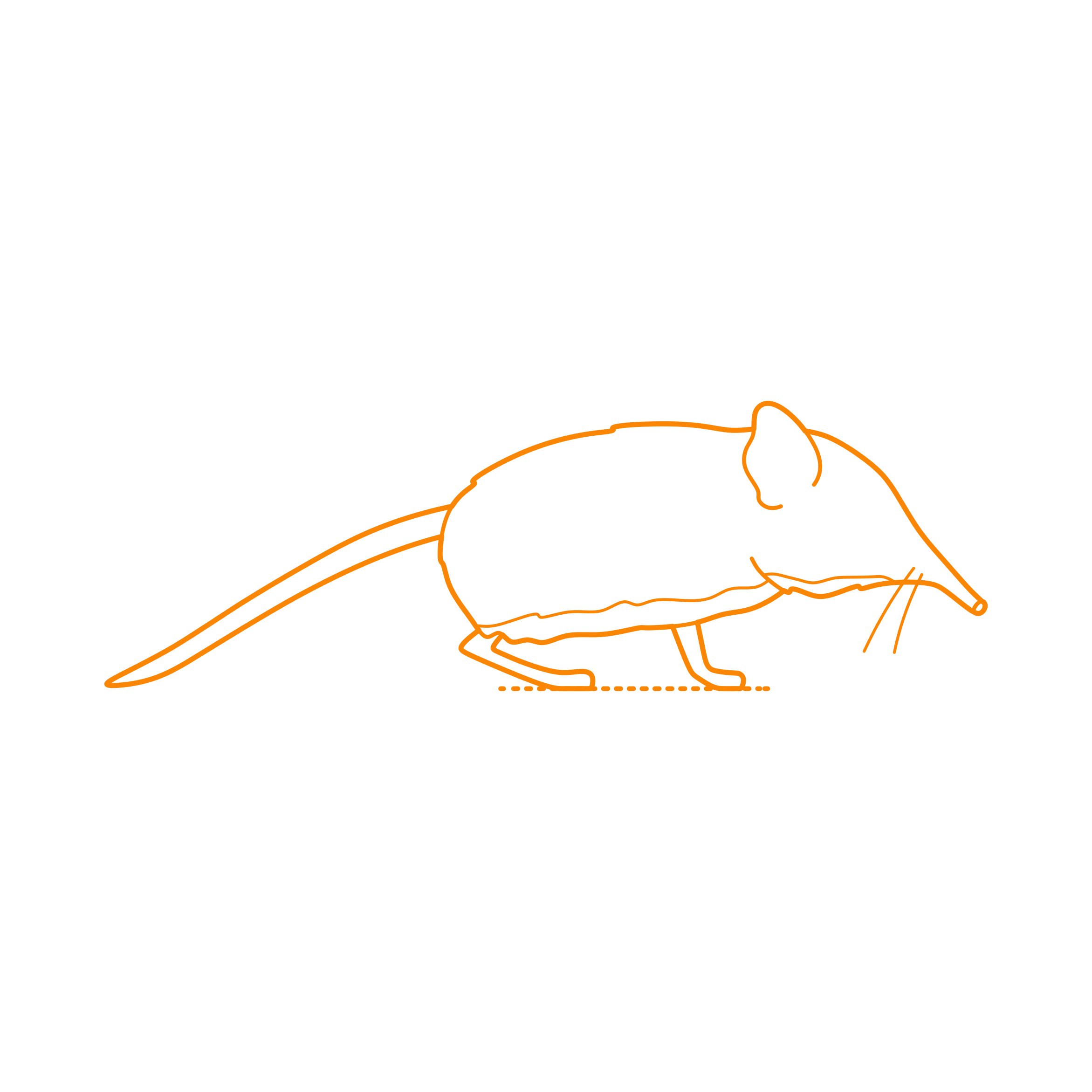 Animals African Insectivores Somali Elephant Shrew Vinyl Svg File Free Vectors